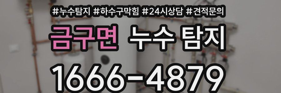 금구면 누수 탐지