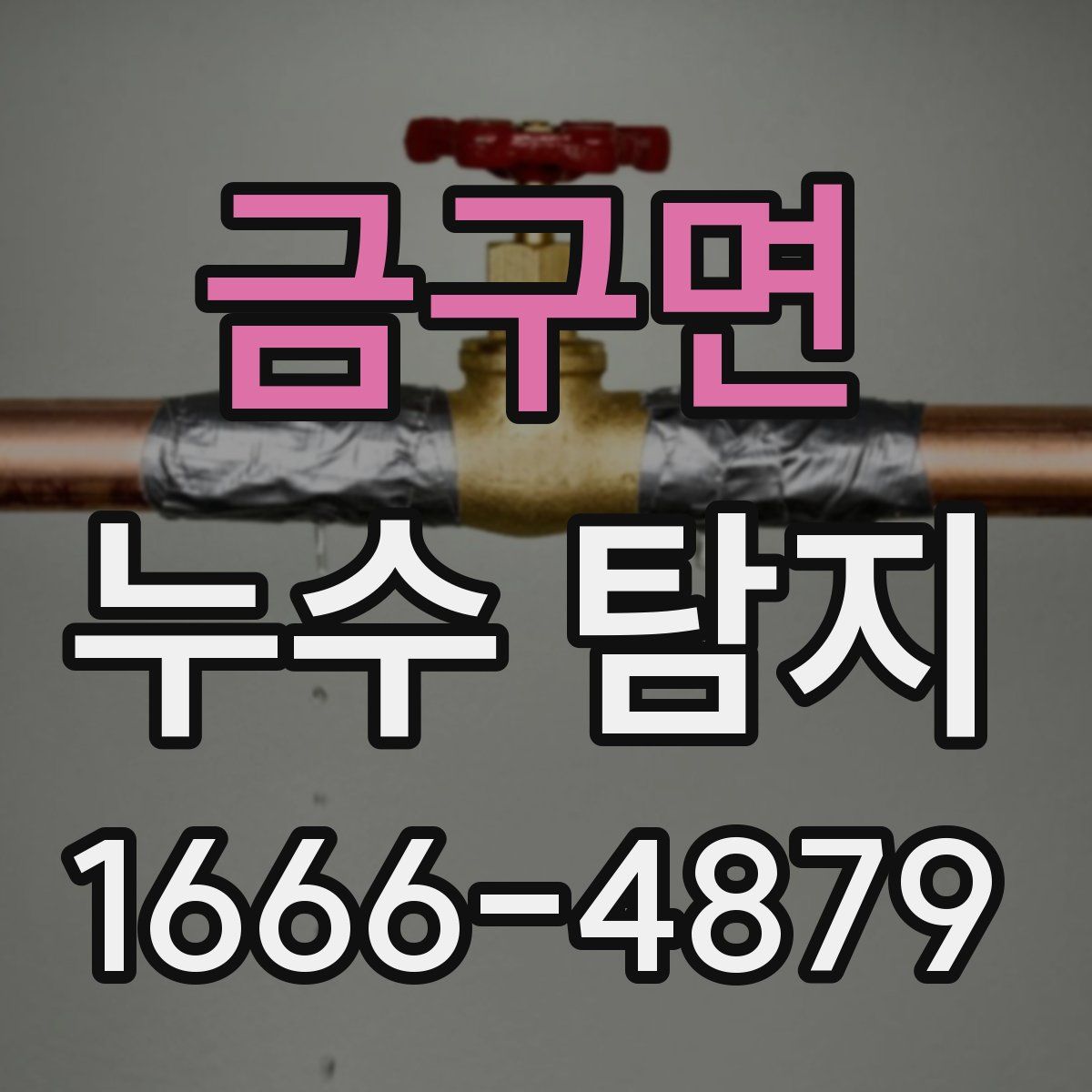 금구면 누수 탐지