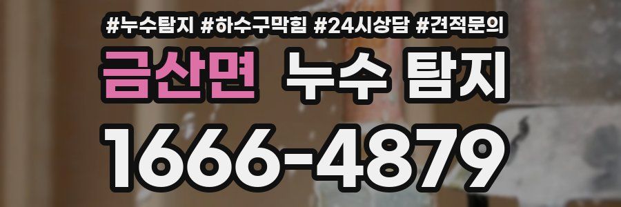 금산면 누수 탐지