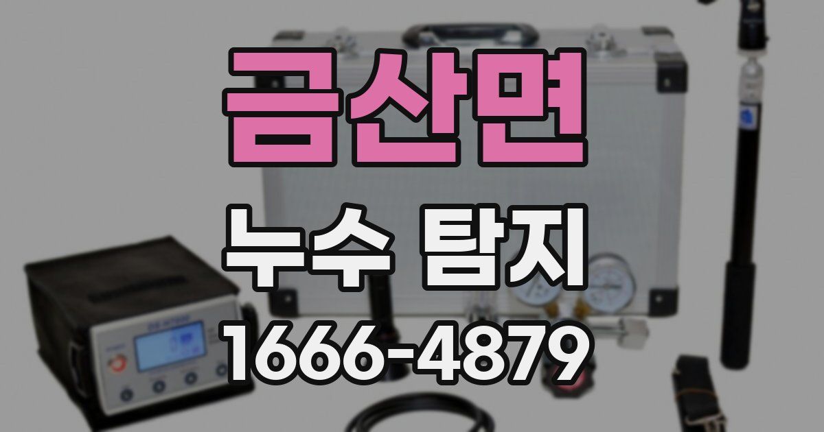 금산면 누수 탐지