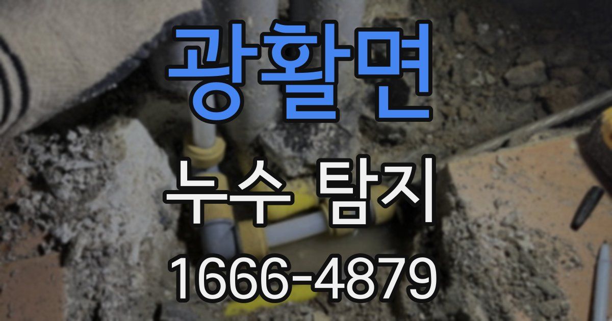 광활면 누수 탐지