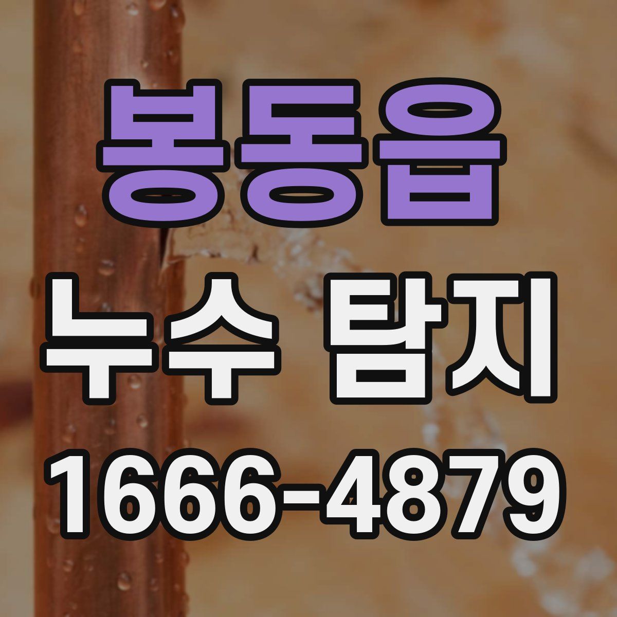봉동읍 누수 탐지