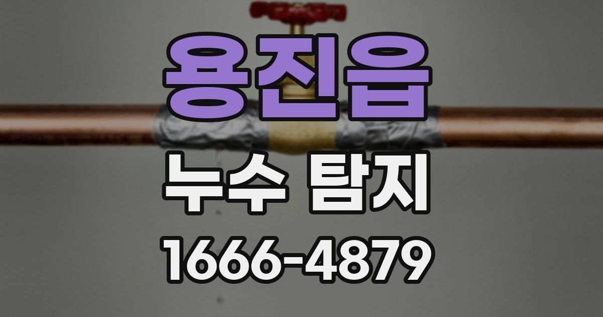 용진읍 누수 탐지