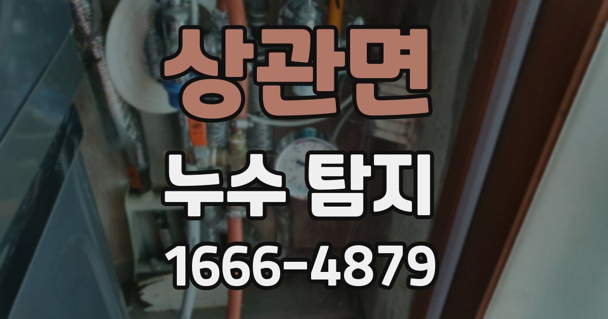 상관면 누수 탐지