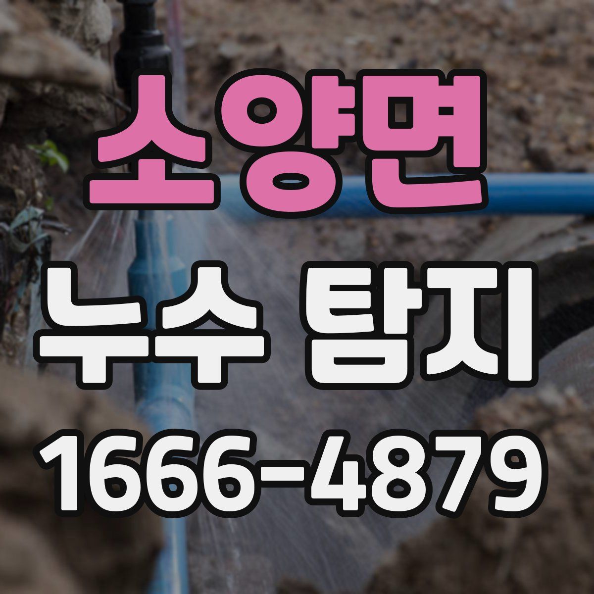 소양면 누수 탐지