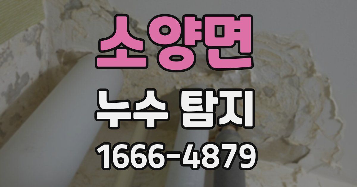 소양면 누수 탐지