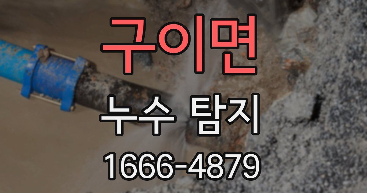 구이면 누수 탐지