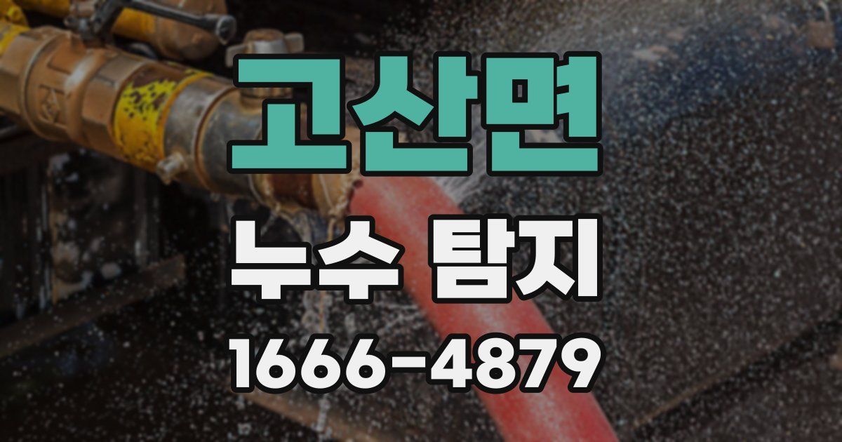 고산면 누수 탐지