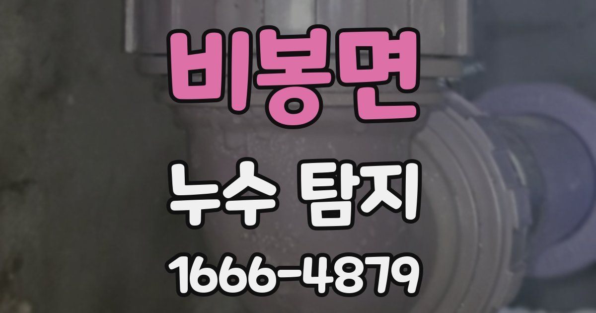 비봉면 누수 탐지