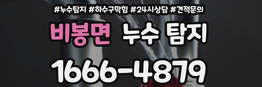비봉면 누수 탐지