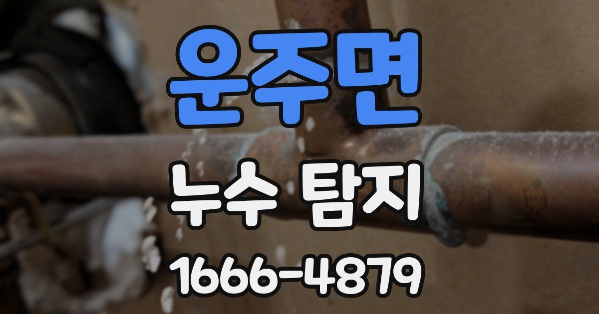 운주면 누수 탐지