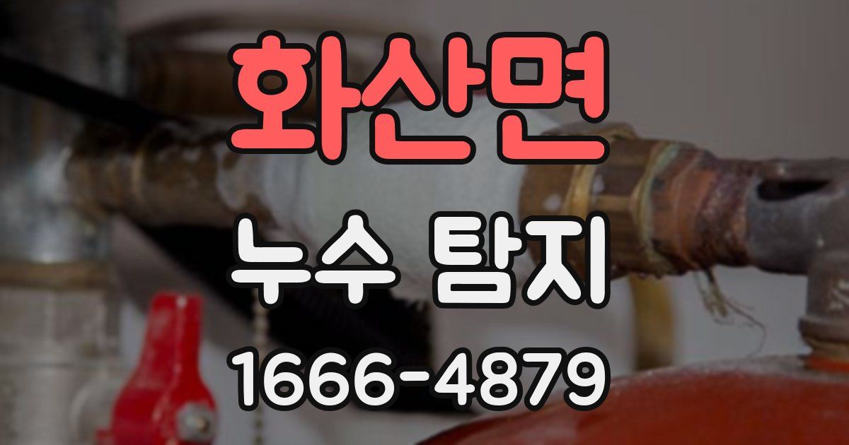 화산면 누수 탐지