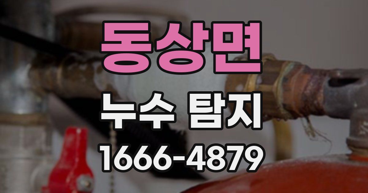 동상면 누수 탐지