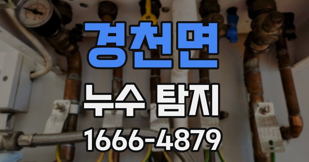 경천면 누수 탐지