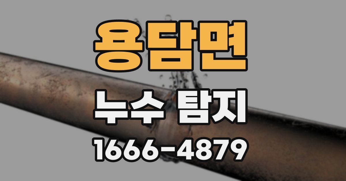 용담면 누수 탐지