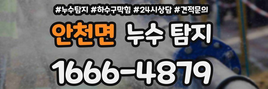 안천면 누수 탐지