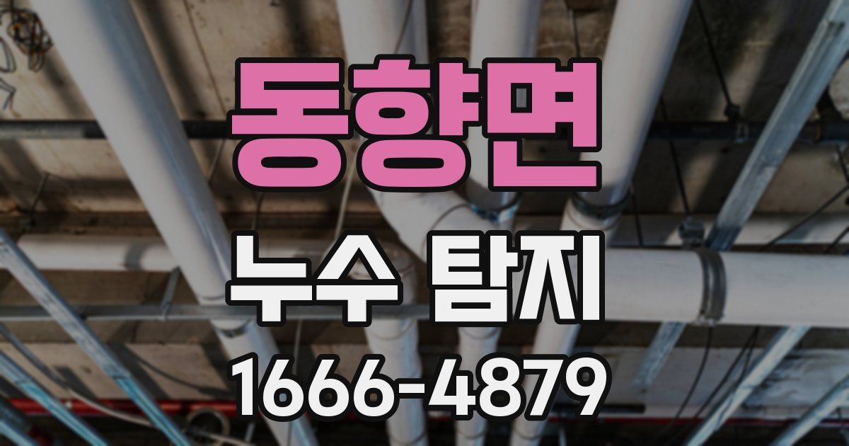 동향면 누수 탐지