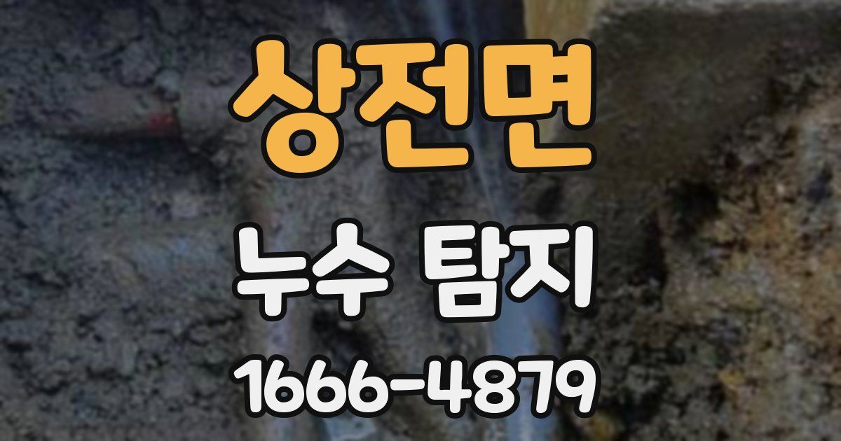상전면 누수 탐지