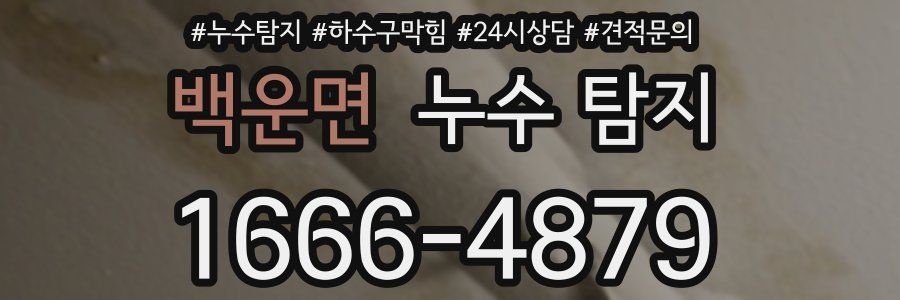 백운면 누수 탐지