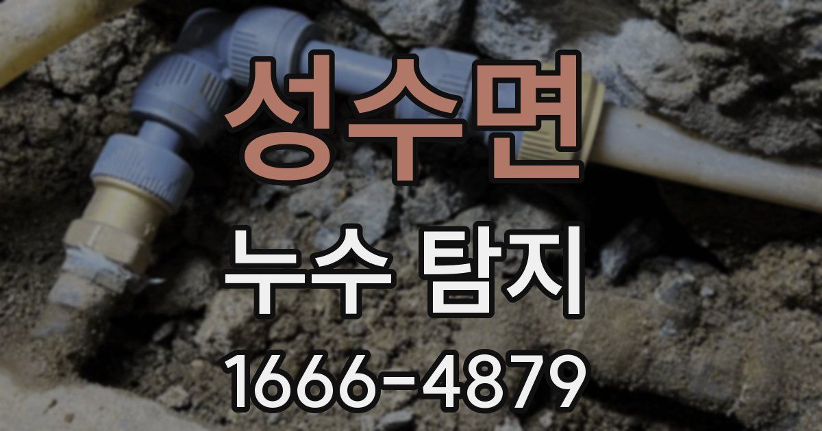 성수면 누수 탐지