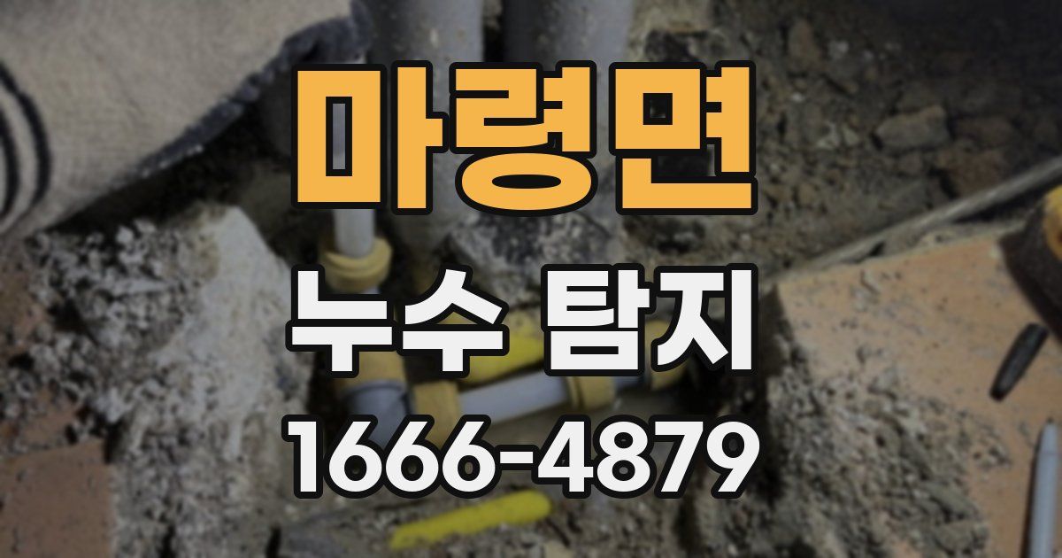 마령면 누수 탐지