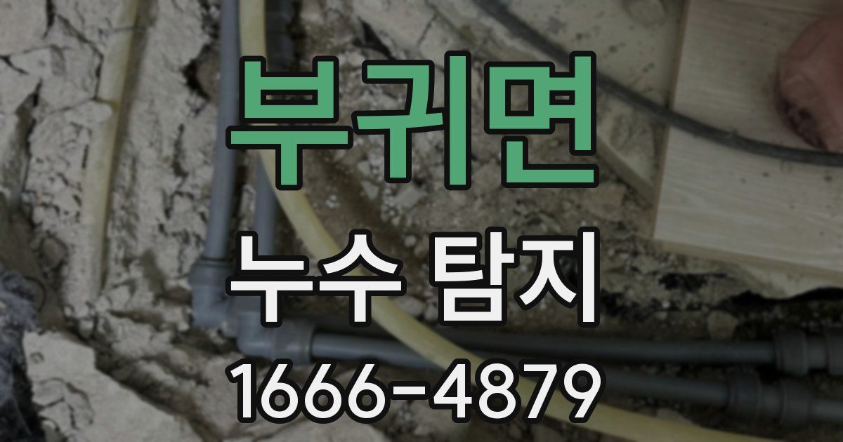부귀면 누수 탐지