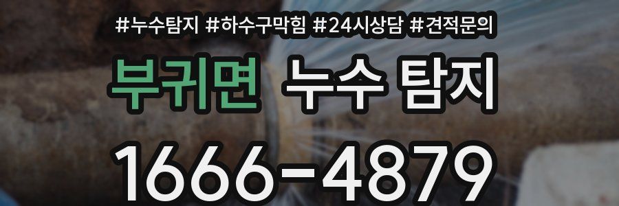부귀면 누수 탐지