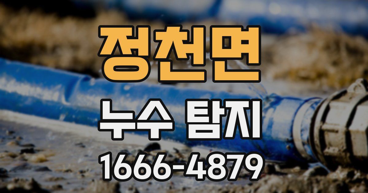 정천면 누수 탐지
