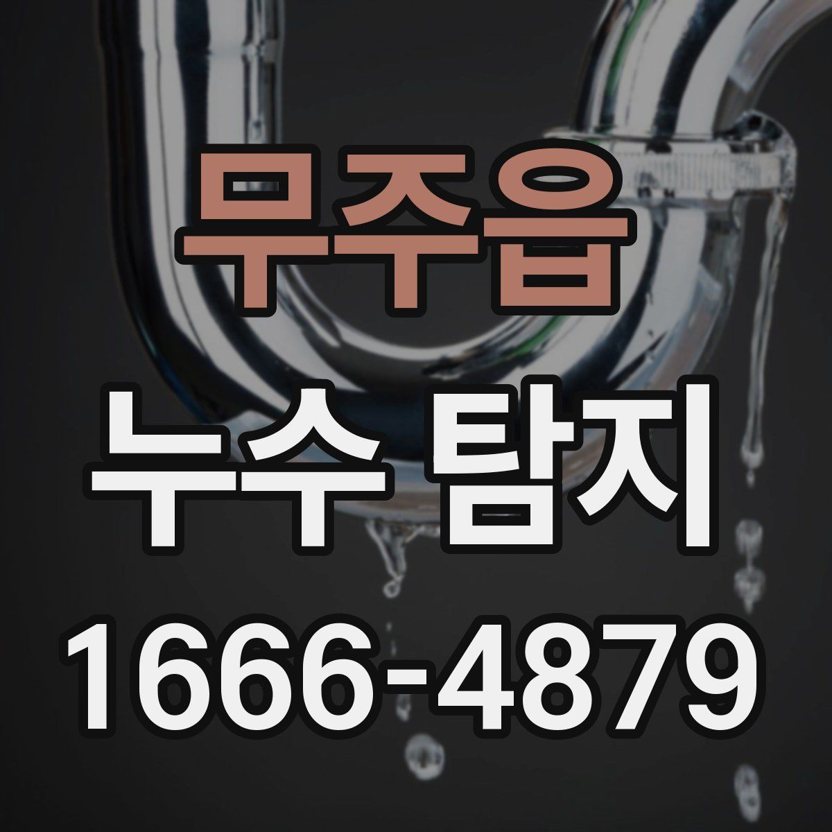 무주읍 누수 탐지