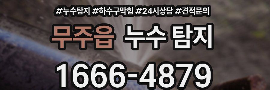 무주읍 누수 탐지