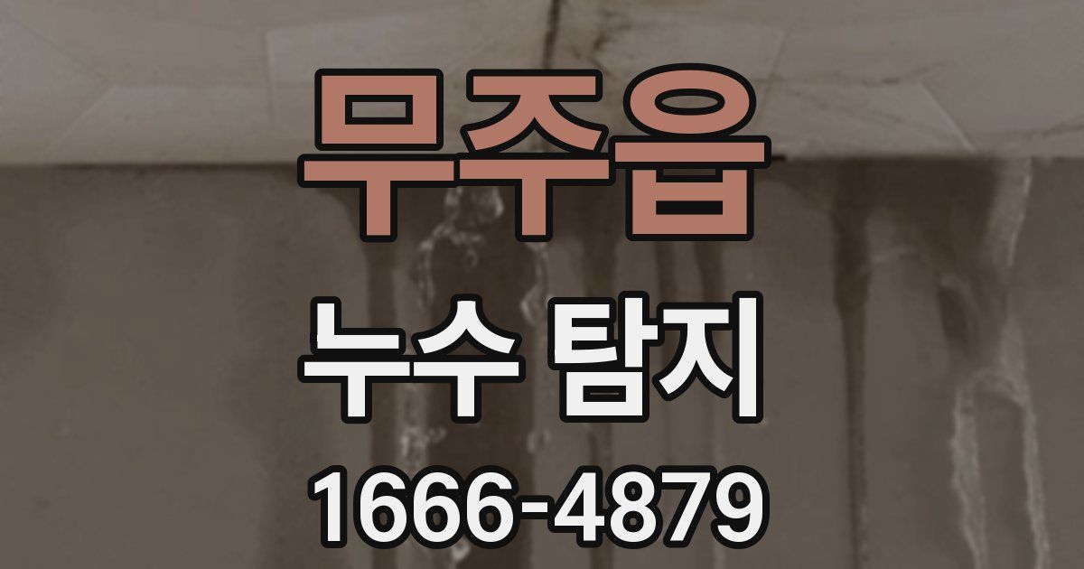 무주읍 누수 탐지