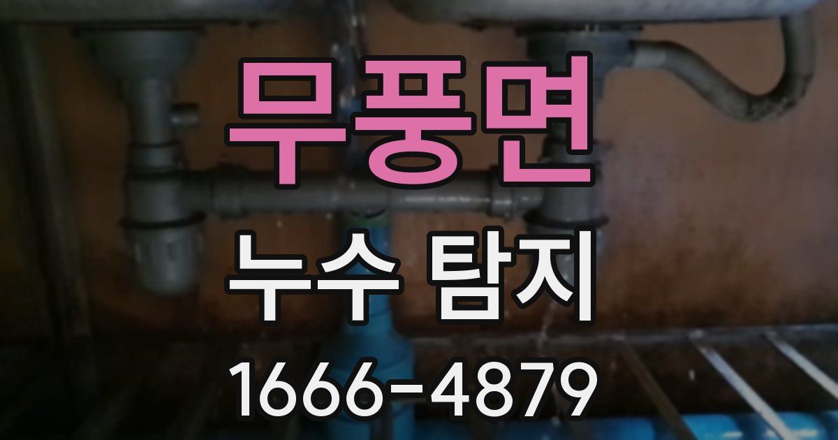 무풍면 누수 탐지
