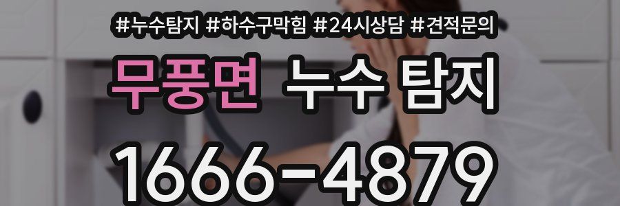 무풍면 누수 탐지