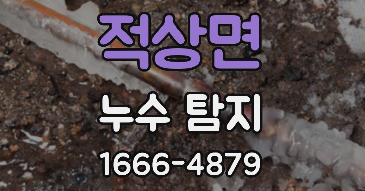 적상면 누수 탐지