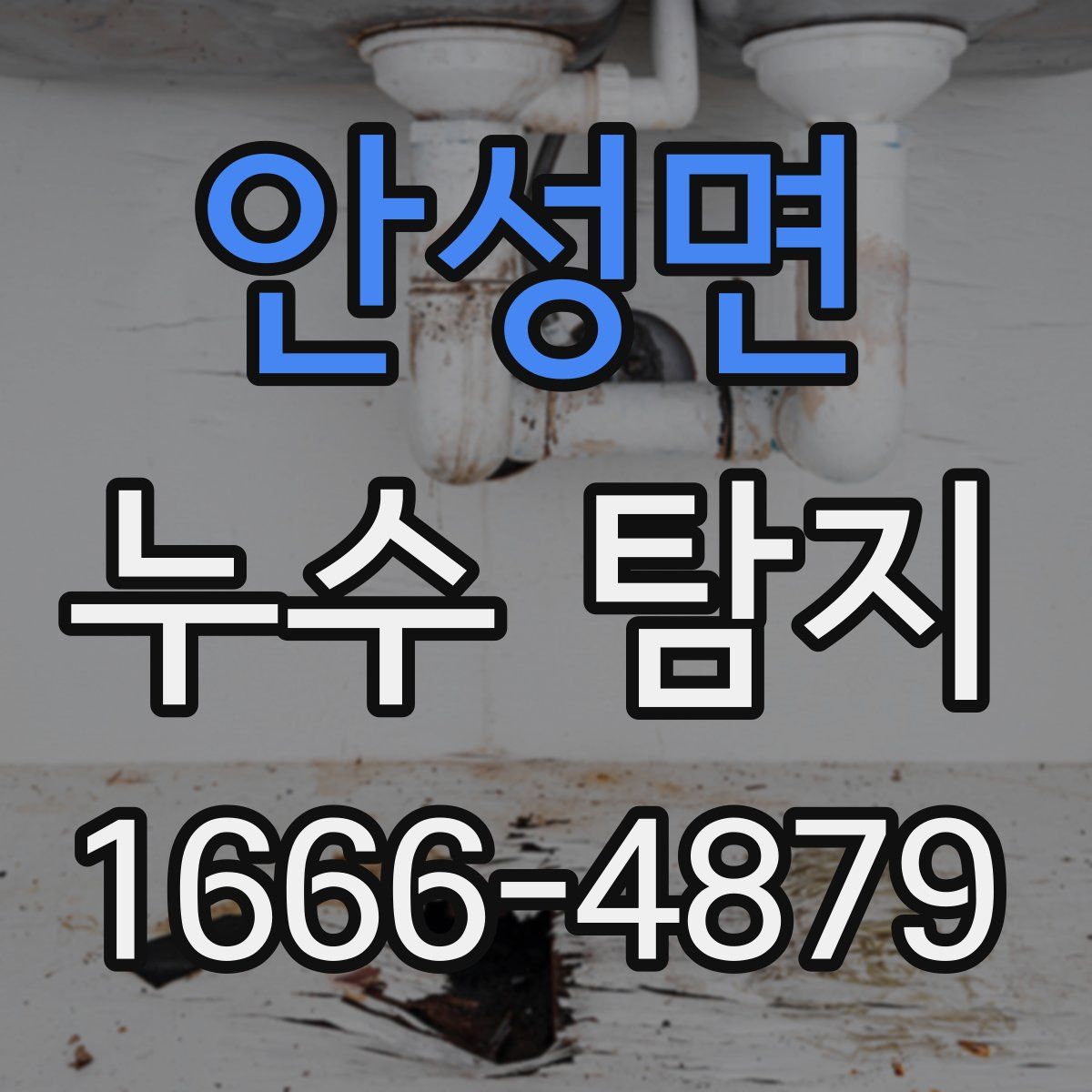 안성면 누수 탐지