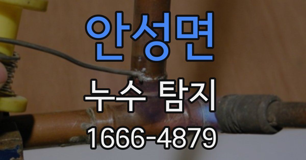 안성면 누수 탐지