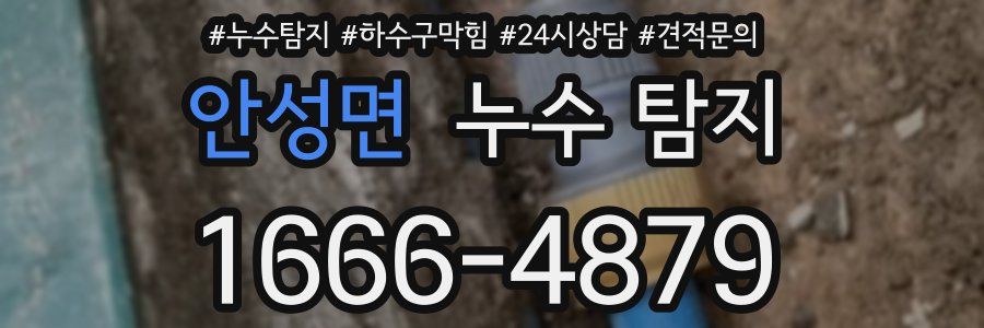 안성면 누수 탐지