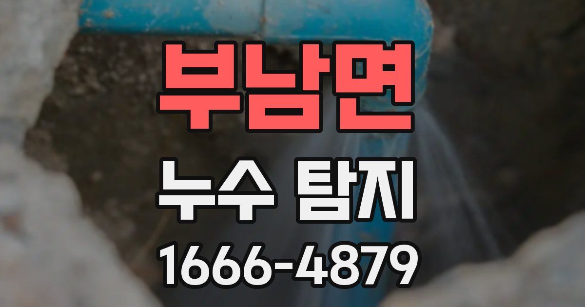 부남면 누수 탐지