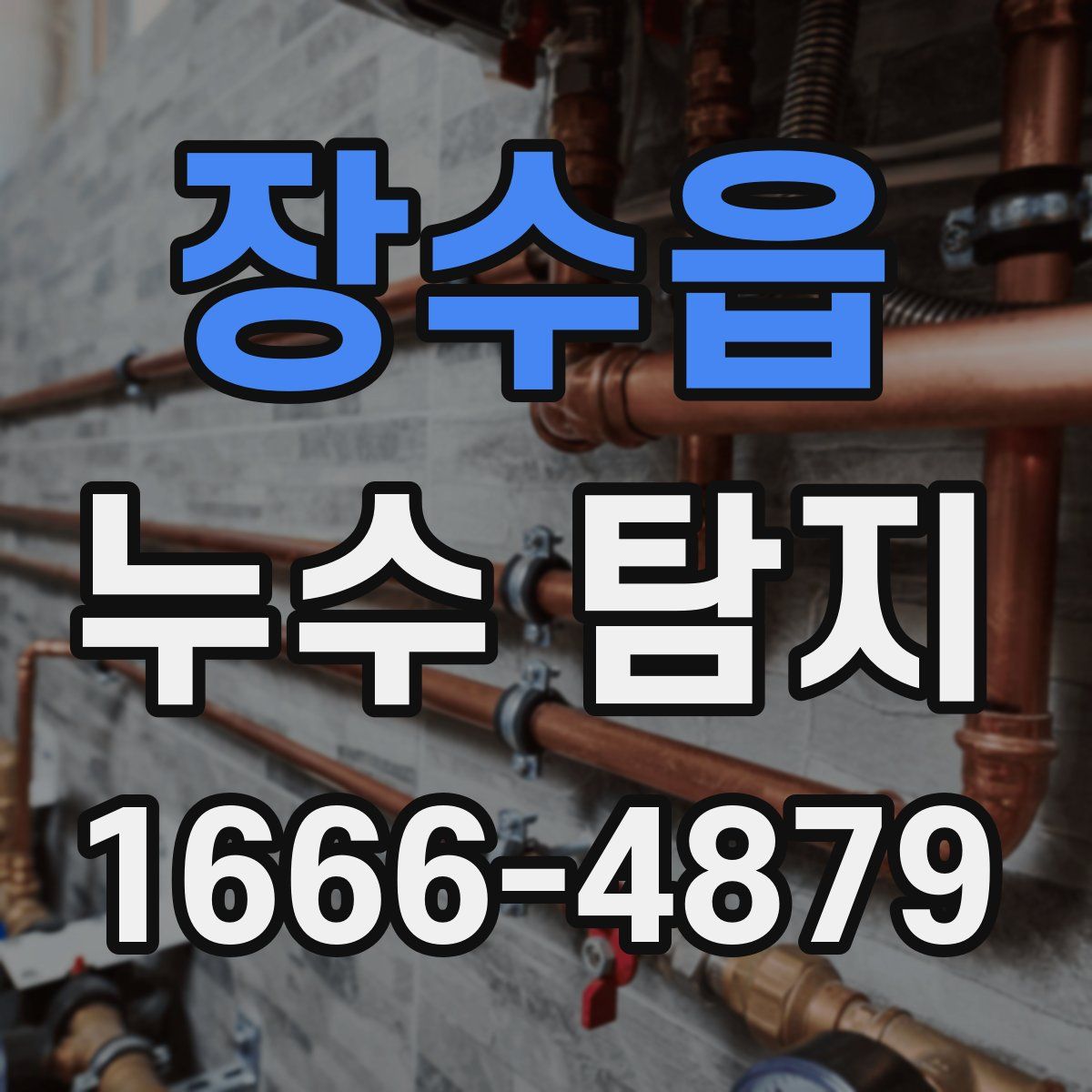 장수읍 누수 탐지