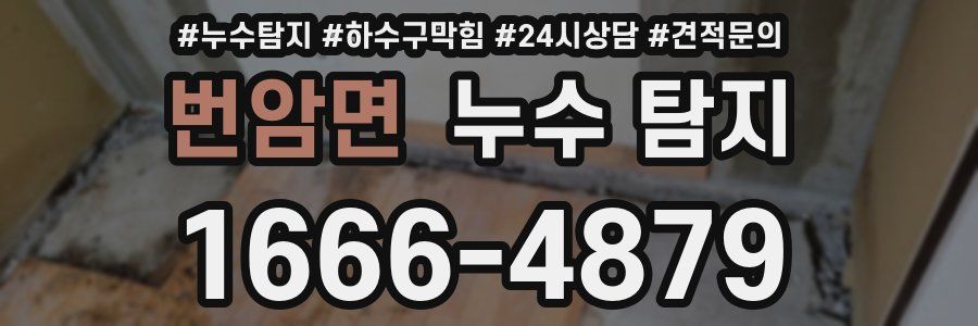 번암면 누수 탐지