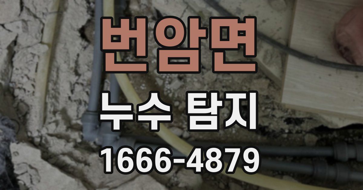 번암면 누수 탐지