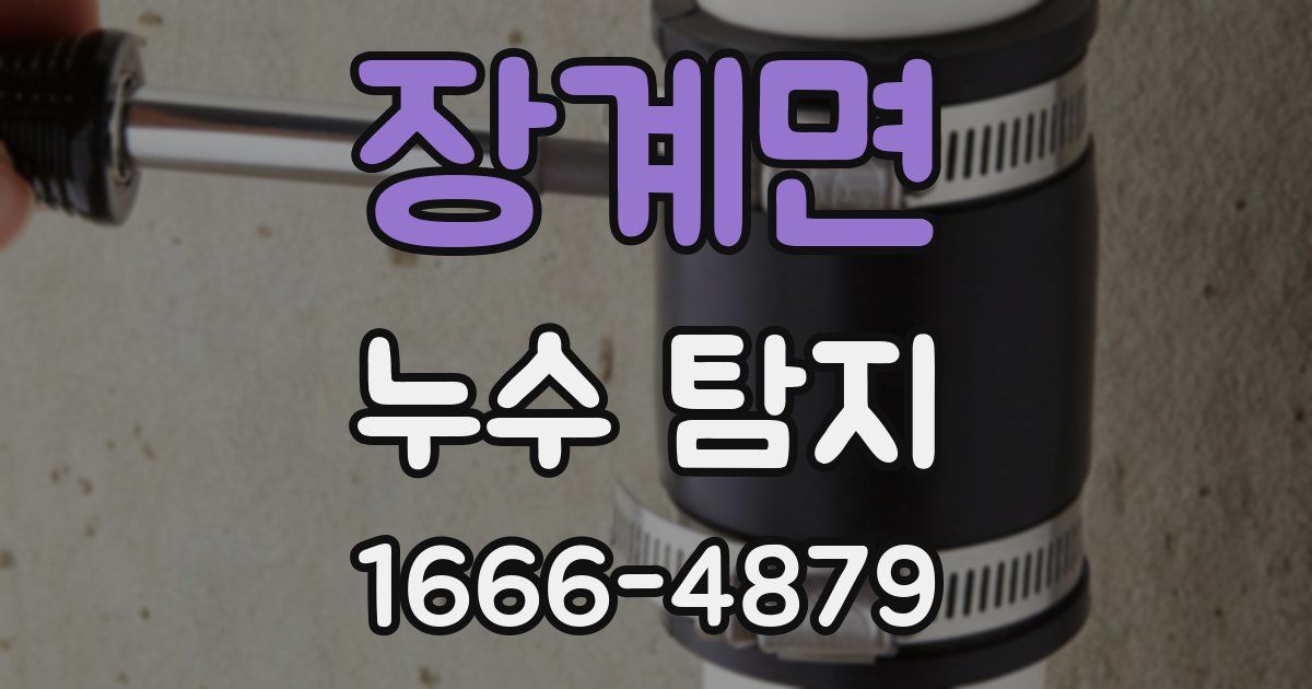 장계면 누수 탐지