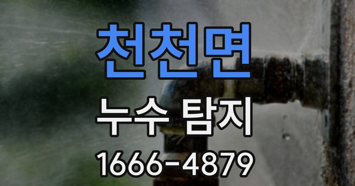 천천면 누수 탐지