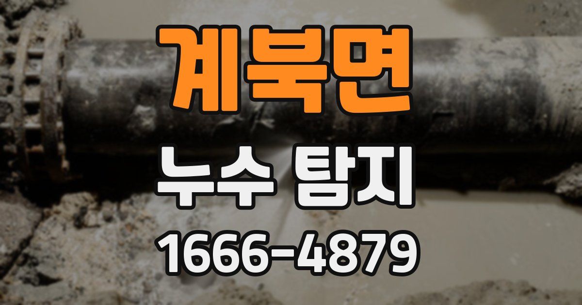 계북면 누수 탐지