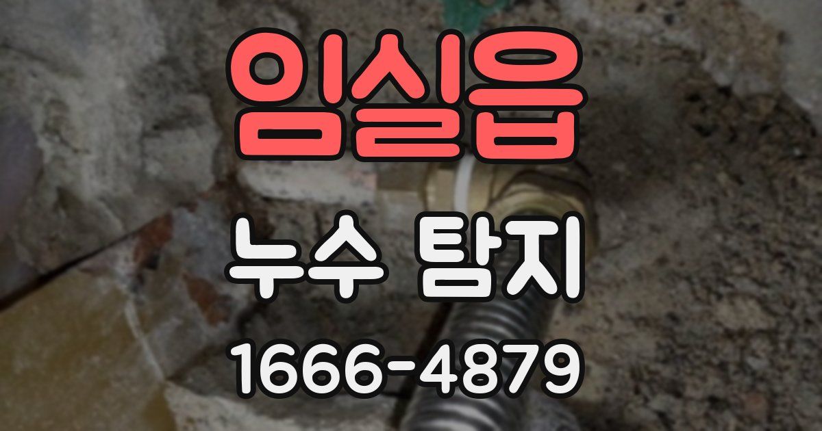 임실읍 누수 탐지