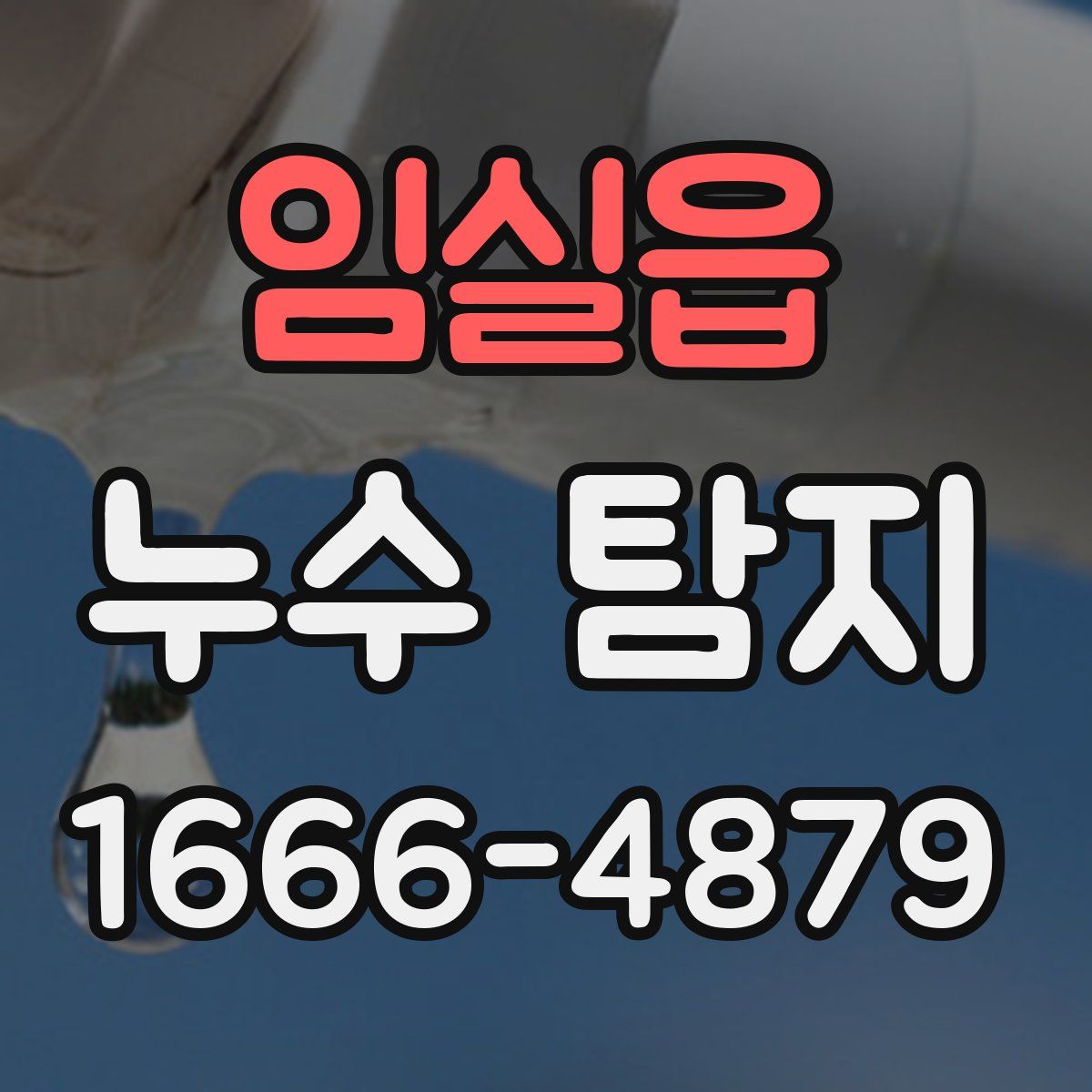 임실읍 누수 탐지