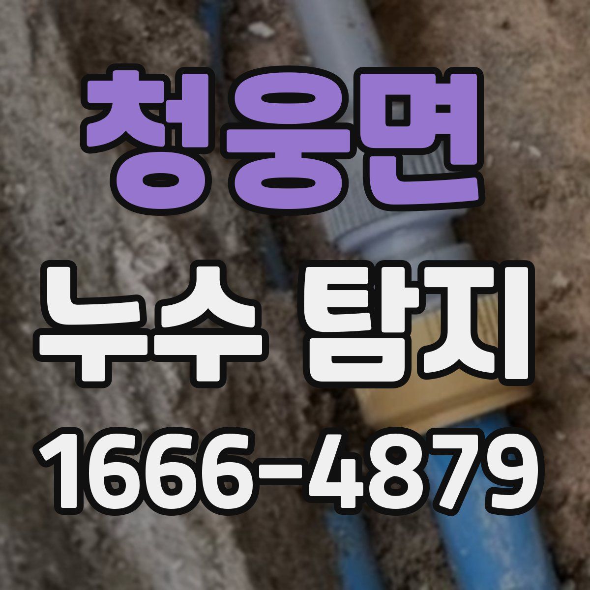 청웅면 누수 탐지