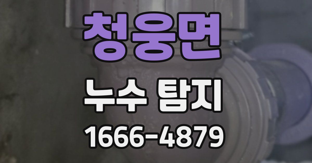 청웅면 누수 탐지