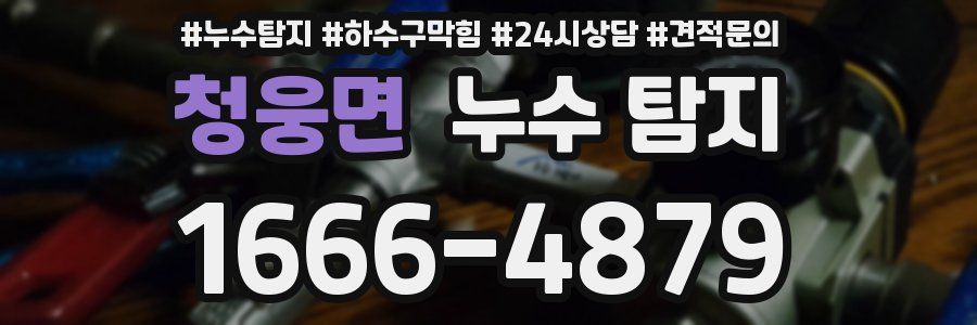 청웅면 누수 탐지