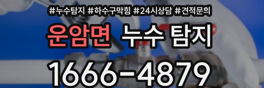 운암면 누수 탐지